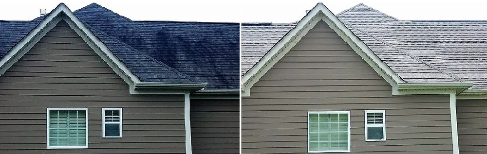 Slide of Eden Roof Restoration