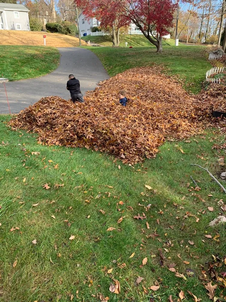 Slide of Edison Services