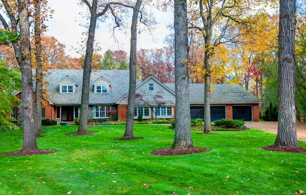 Slide of Edward Callahan