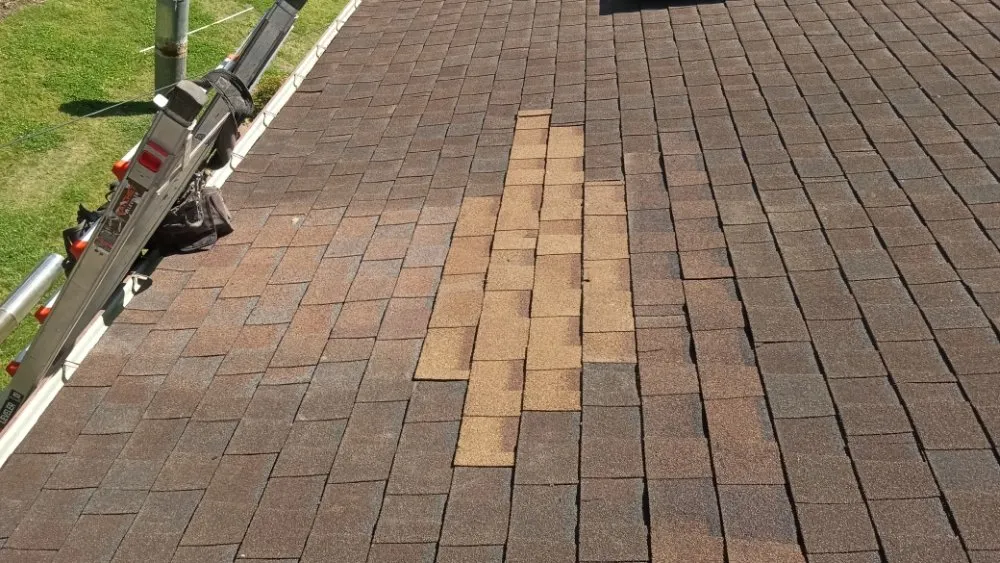 Slide of Edwards And Sons