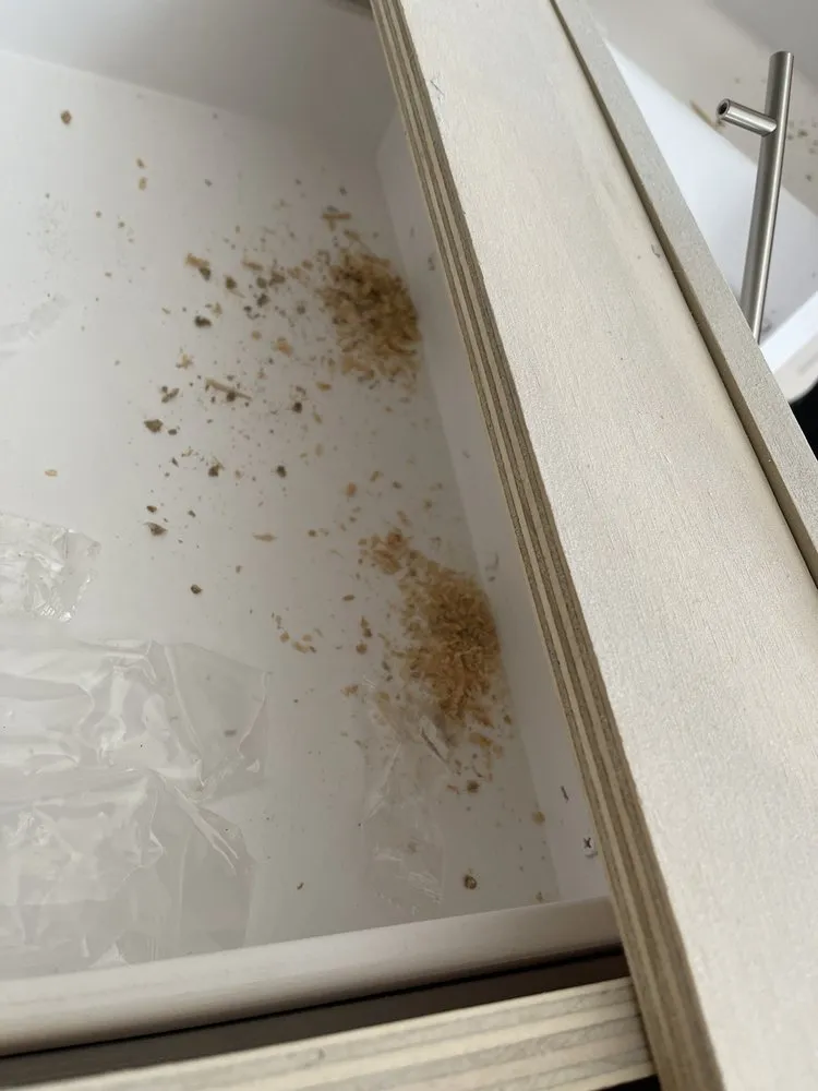 Slide of Edwards Contracting Group