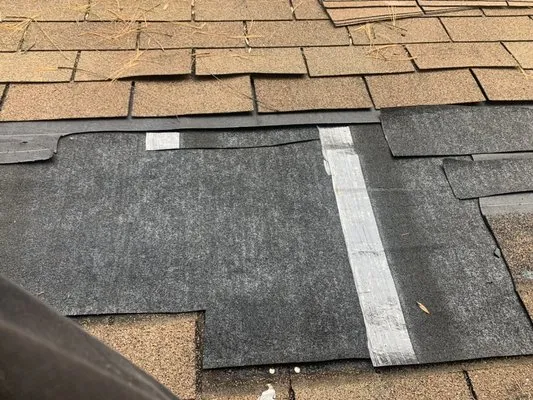 Edwards Home Pro Services Logo