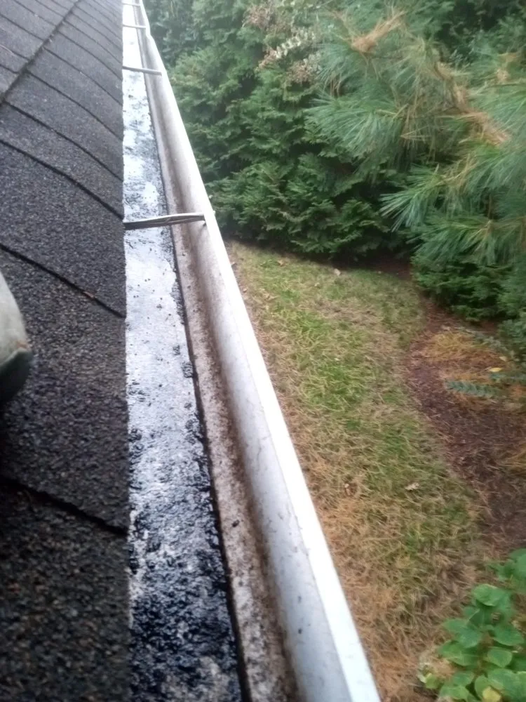 Slide of Edwin Multi Services