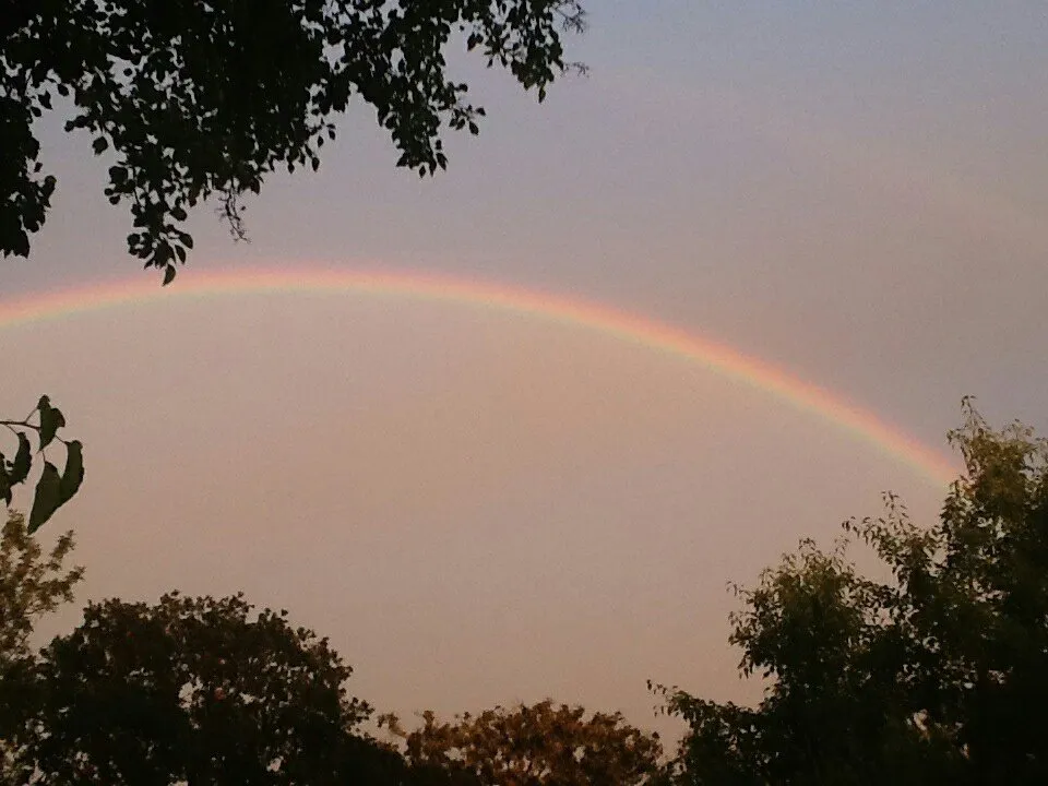 Slide of Egner Roofing