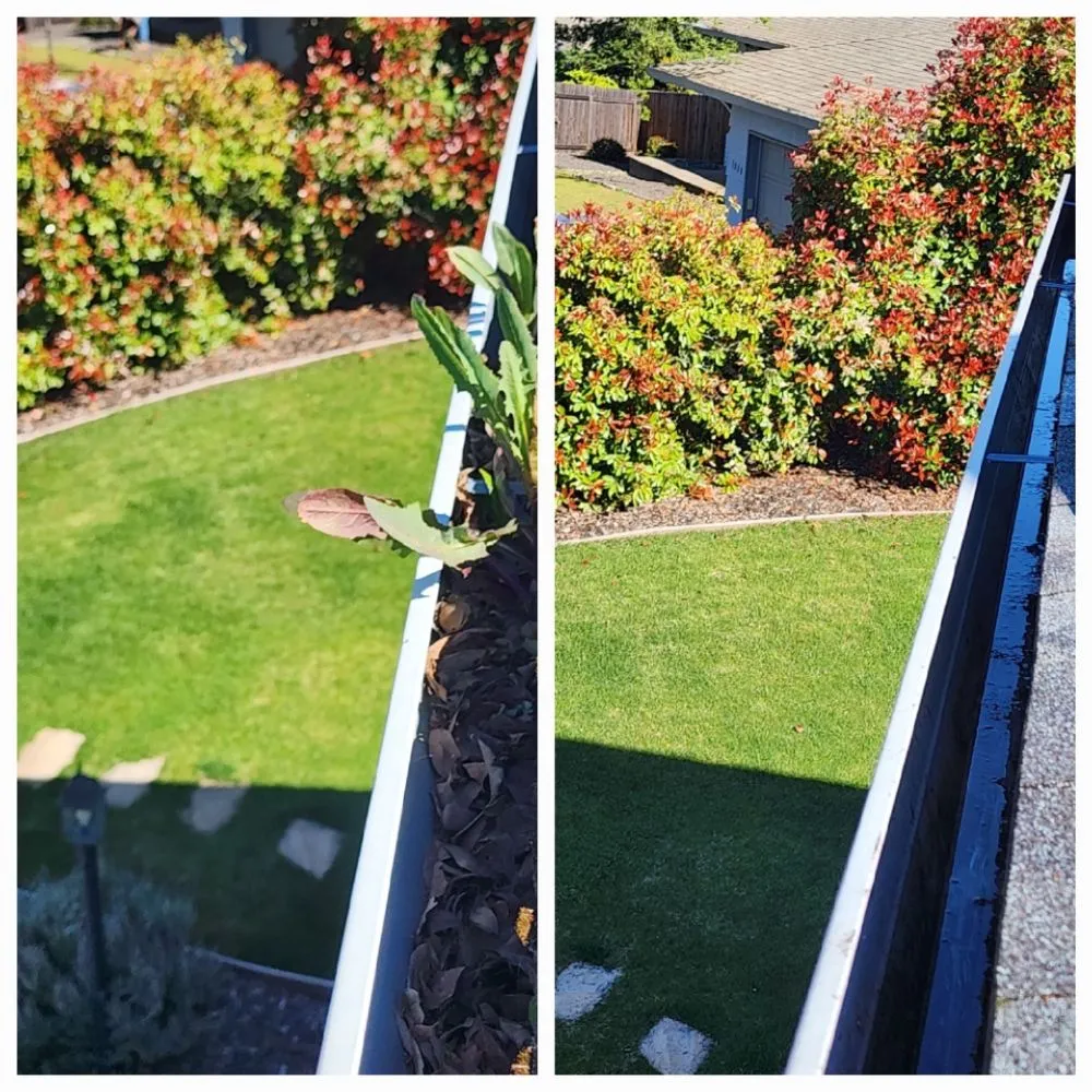 Slide of El Dorado Hills Gutter and Solar Panel Cleaning