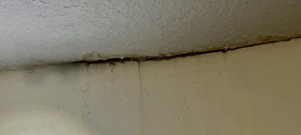 Licensed residential roofing service experts serving Port St. Lucie, FL - El Mago Roofing