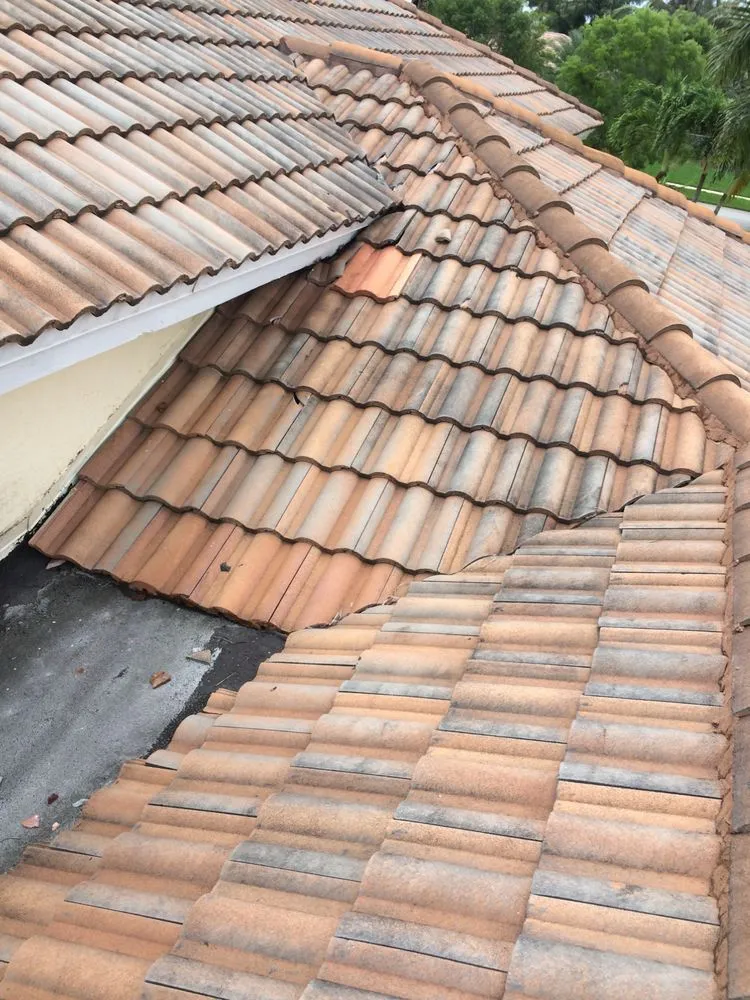 Slide of El Mago's Roofing