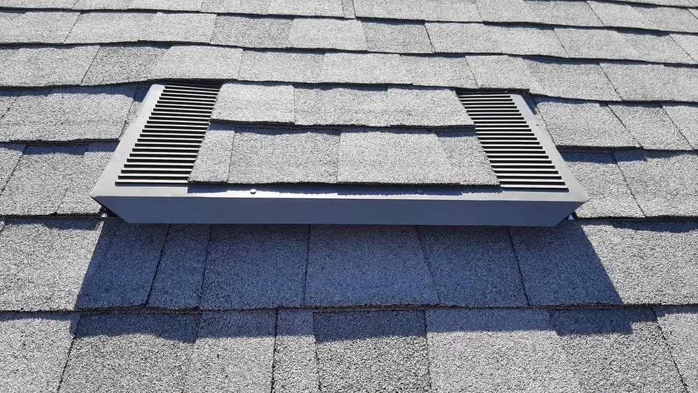 Slide of El Puma Roofing