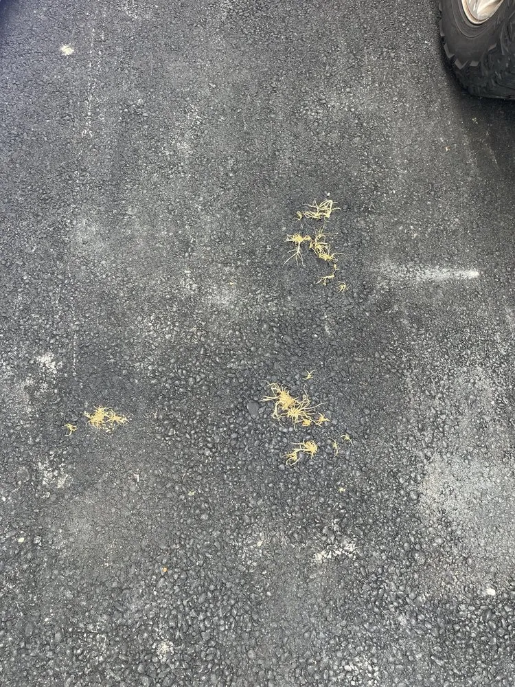 Slide of Elected Paving & Masonry