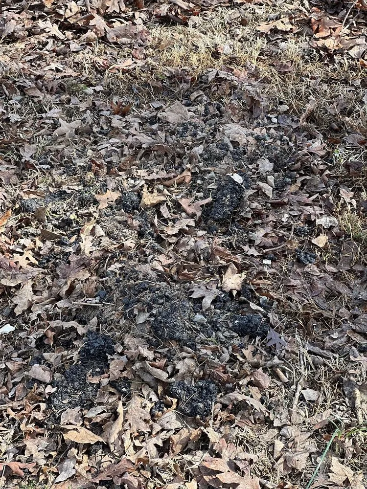 Slide of Elected Paving & Masonry