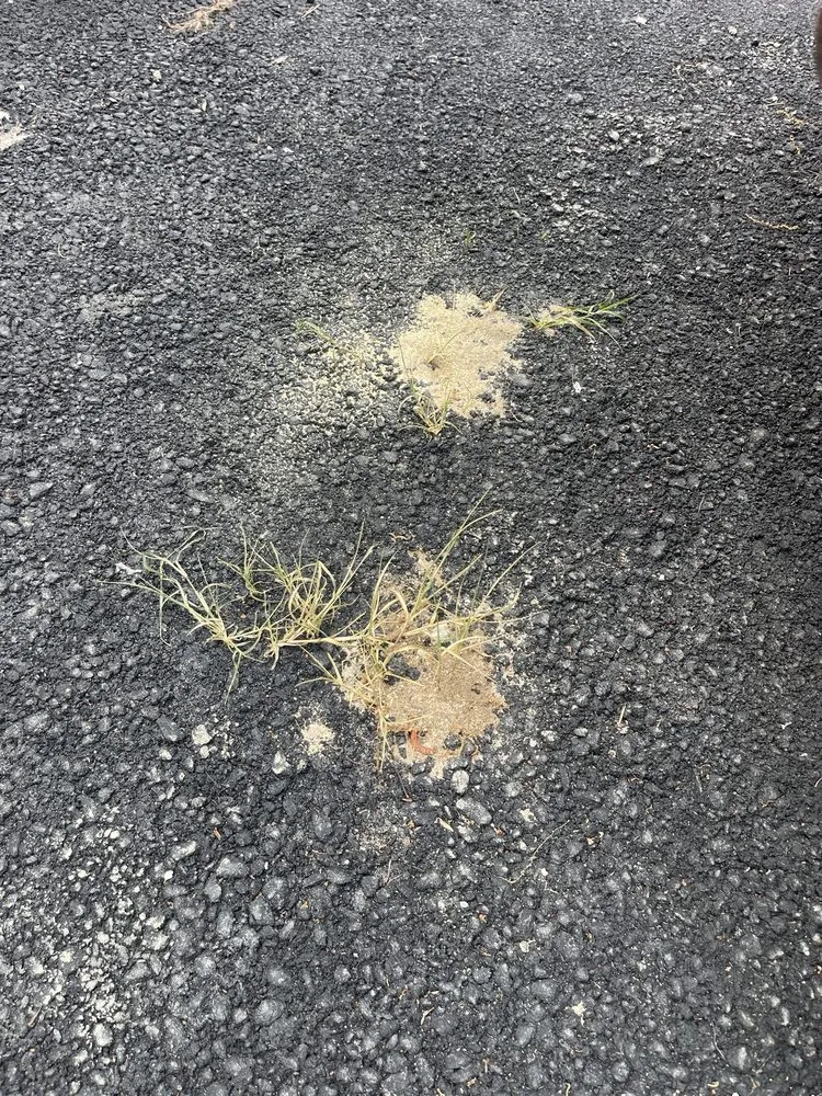 Slide of Elected Paving & Masonry