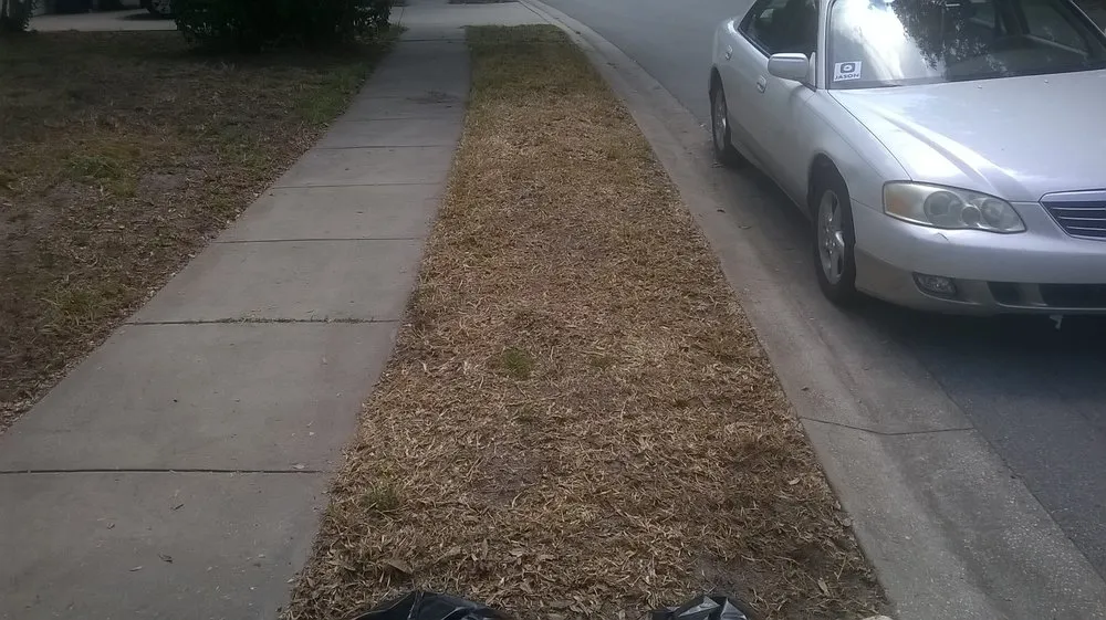 Slide of Election Roofing and Construction