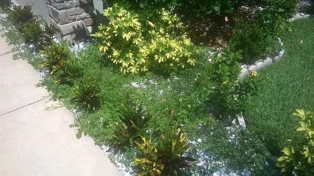 Slide of Election Roofing and Construction