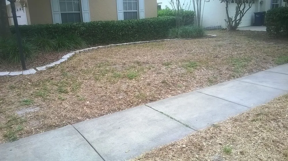 Slide of Election Roofing and Construction