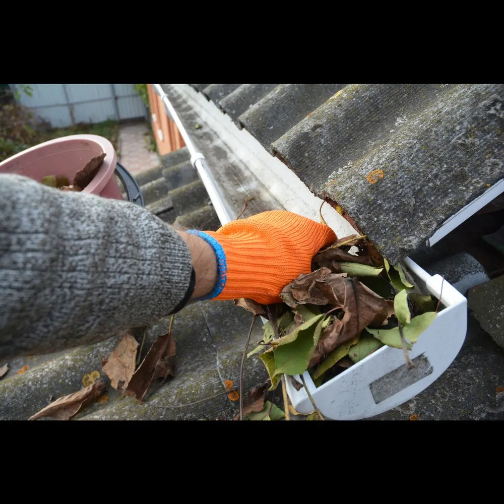 Slide of Elegant Exteriors