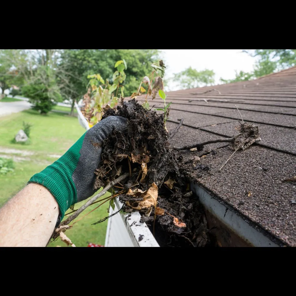 Slide of Elegant Exteriors
