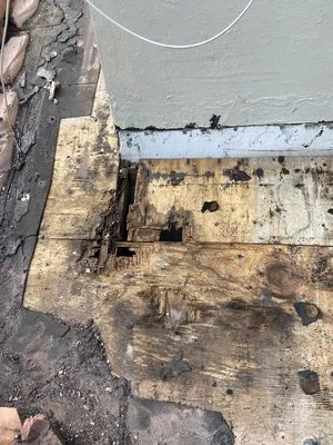 Elegant Handyman Services