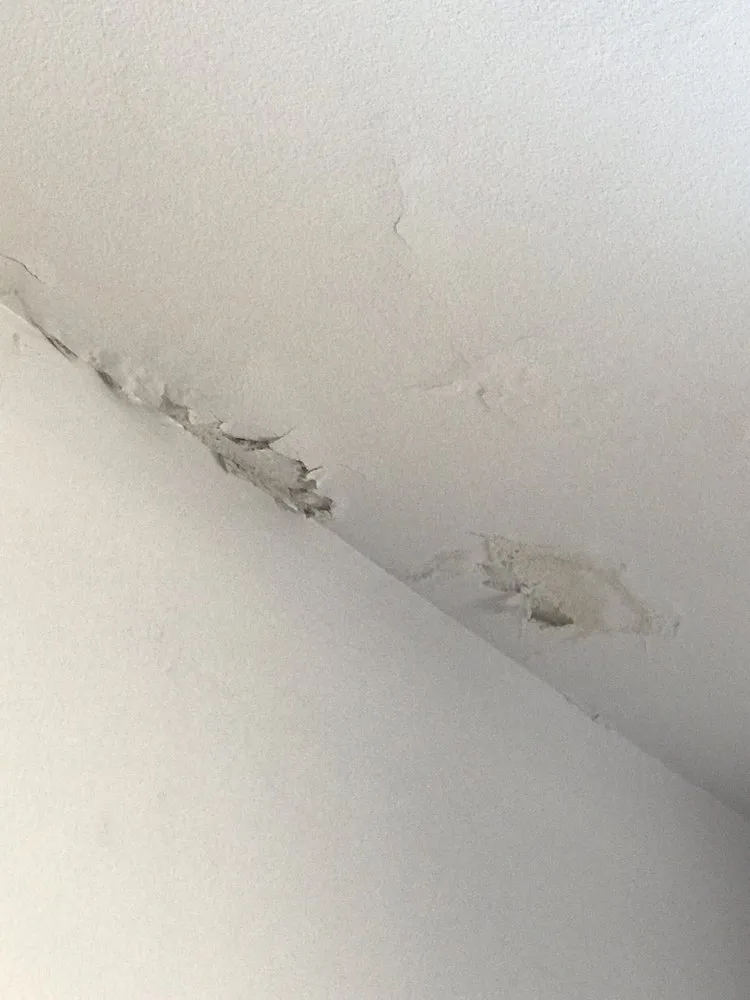 Slide of Element Roofing