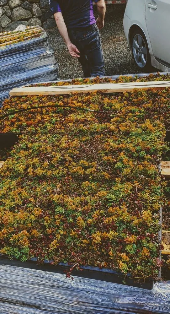 Slide of Element Smart Roofing