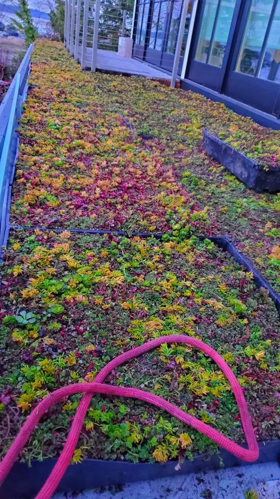 Slide of Element Smart Roofing