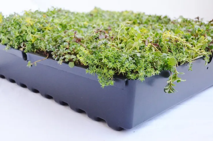 Slide of Element Smart Roofing