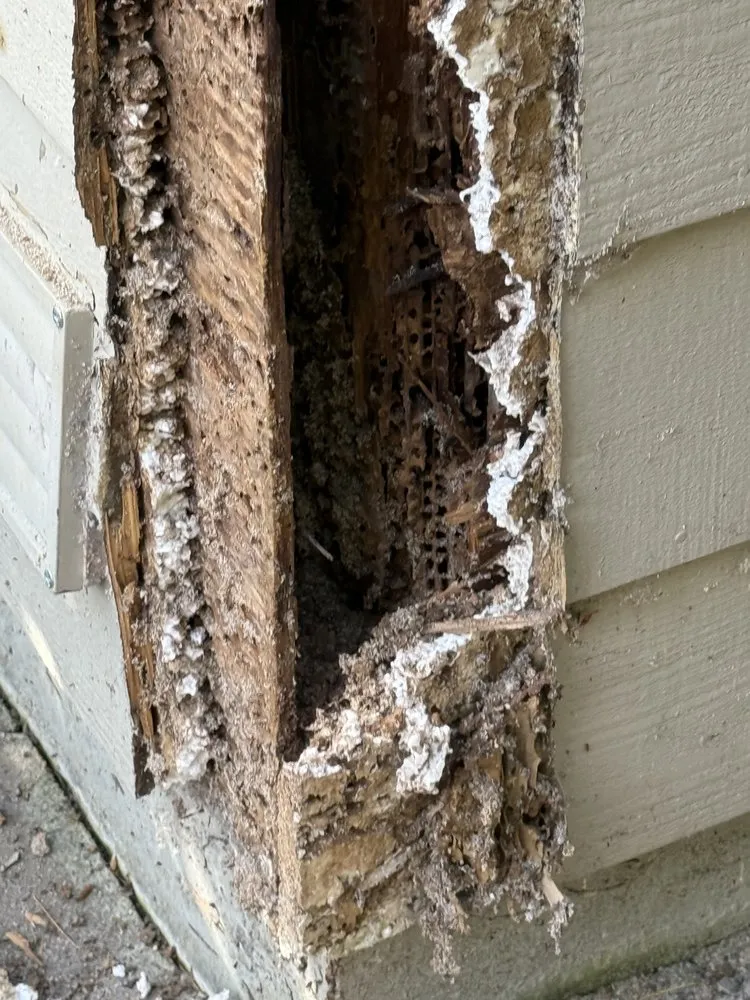 Slide of Elemental Damage Repairs