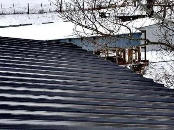 Slide of Elemental Roofing