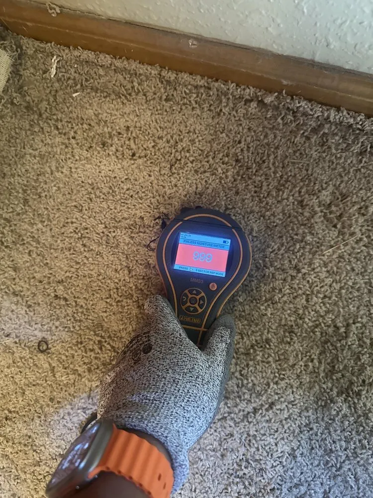 Slide of Elements of Restoration