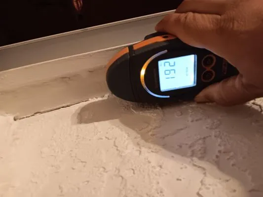 Elements of Restoration