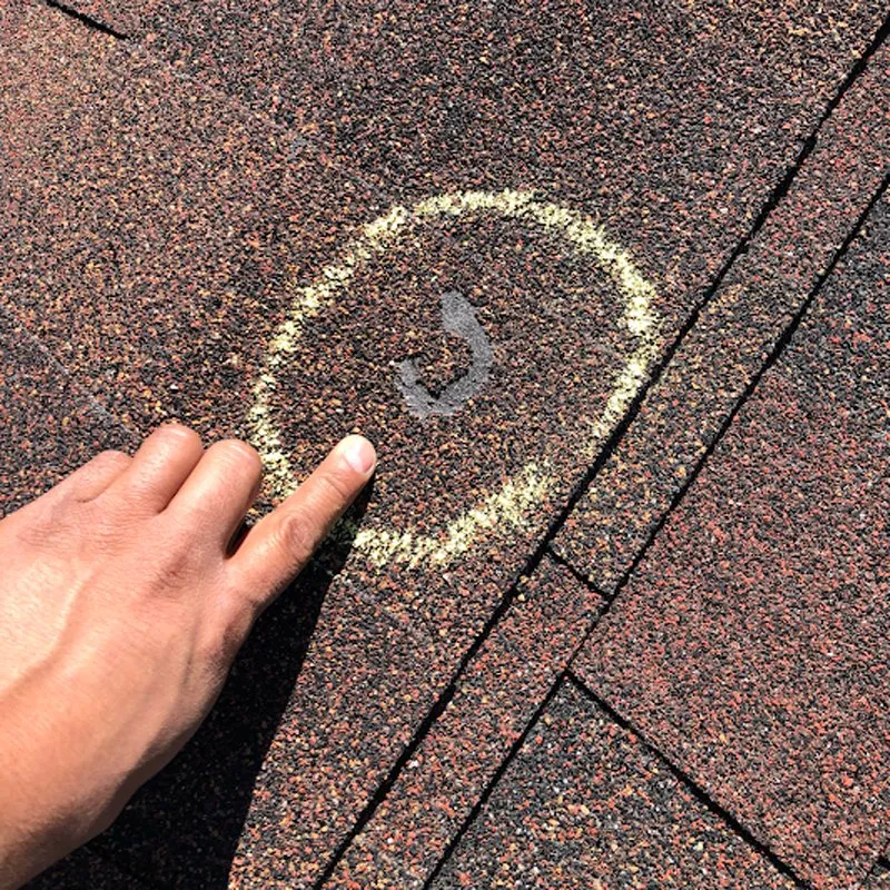 Slide of Elements Roofing