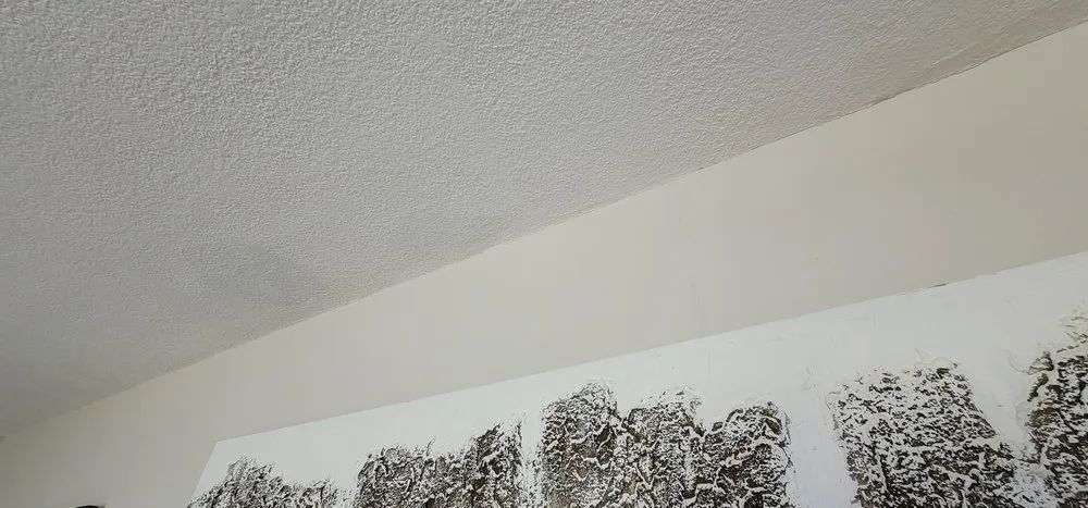 Slide of Elements Roofing