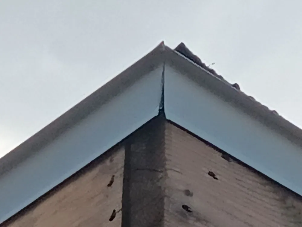 Slide of Elevate homes