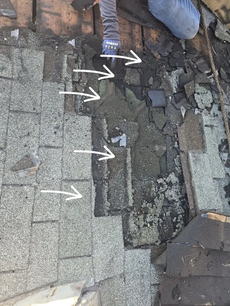 Slide of Elevated Industries