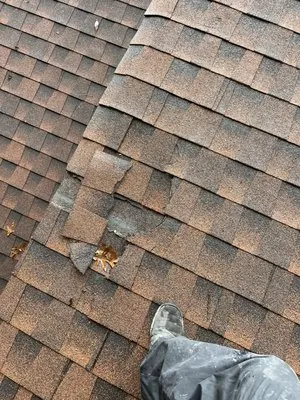 Elevated Roofing & Gutters Logo