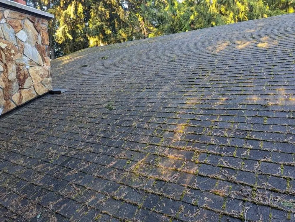 Slide of Elevated Roofing & Siding