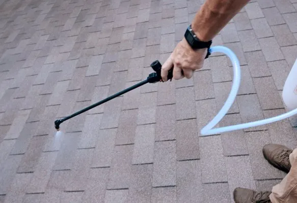 Elevation Construction