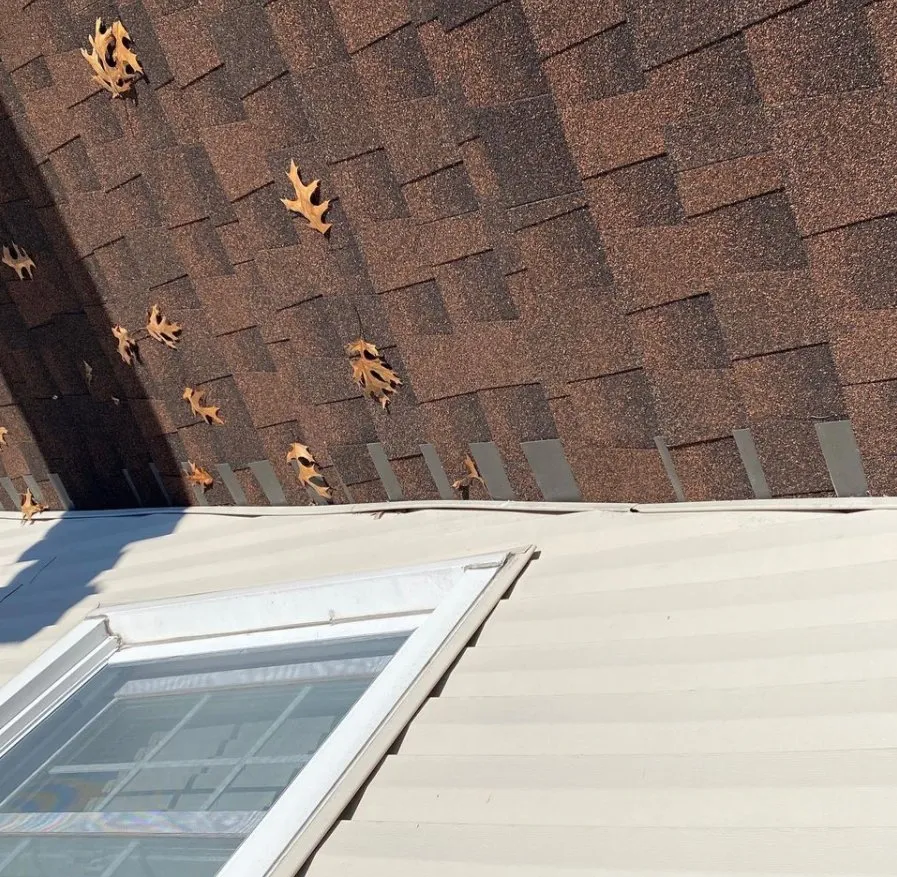 Slide of Eleven Exterior