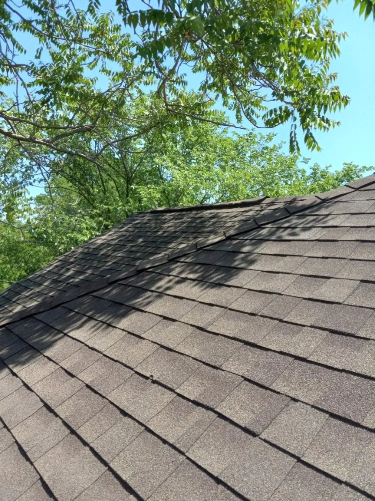 Slide of Eli is Home Improvement