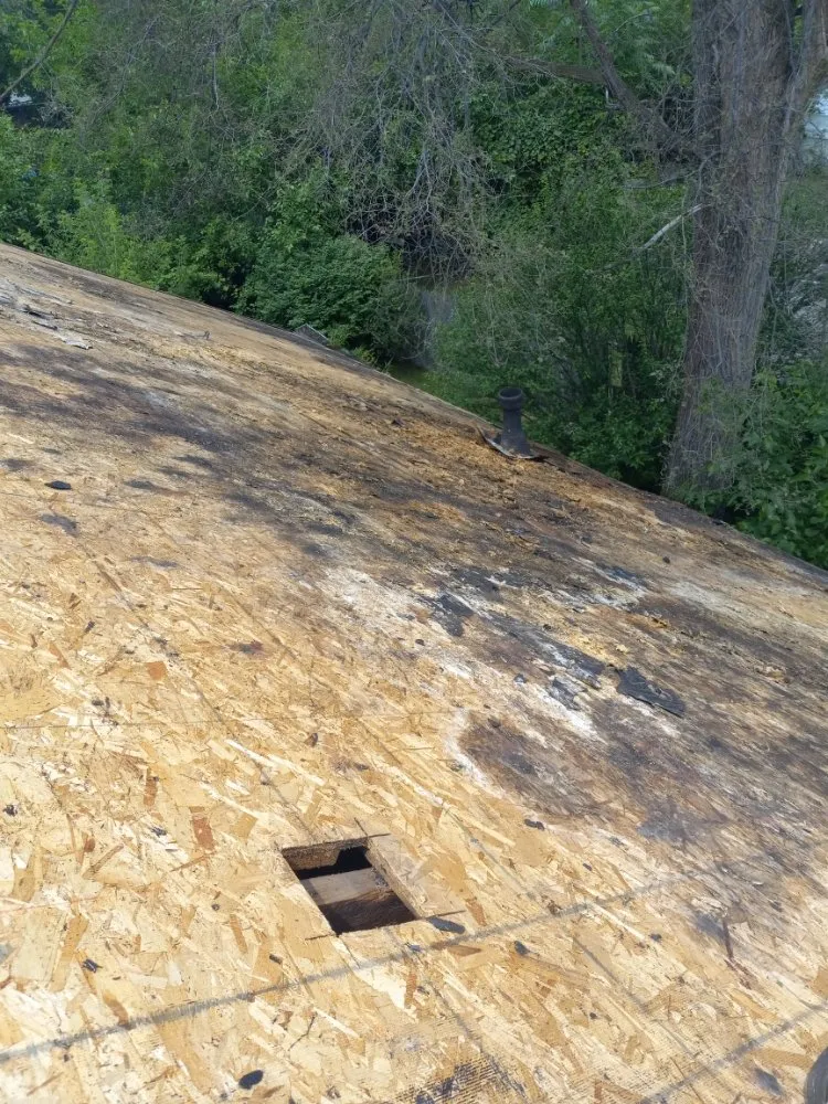 Slide of Eli is Home Improvement