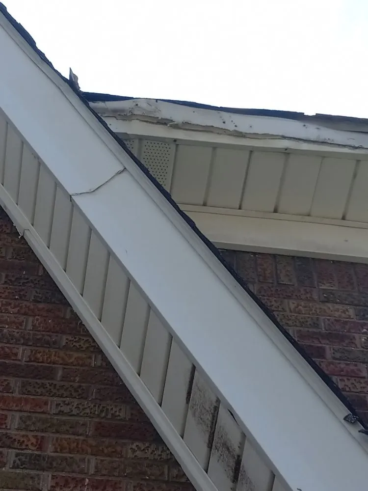 Slide of Eli is Home Improvement