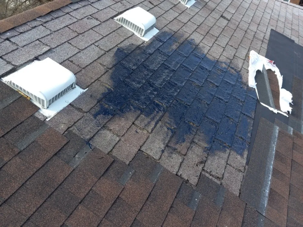 Slide of Eli is Home Improvement