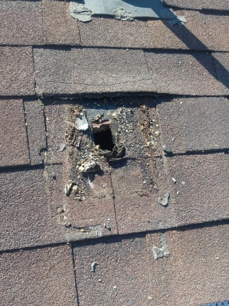 Slide of Eli is Home Improvement