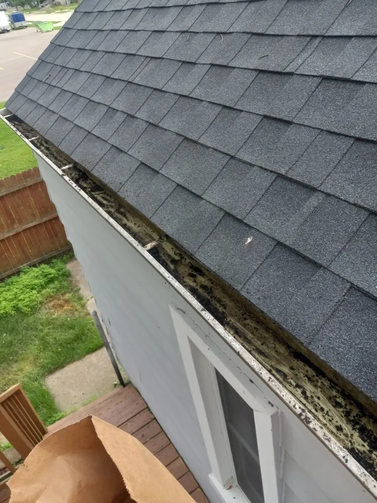 Slide of Eli is Home Improvement