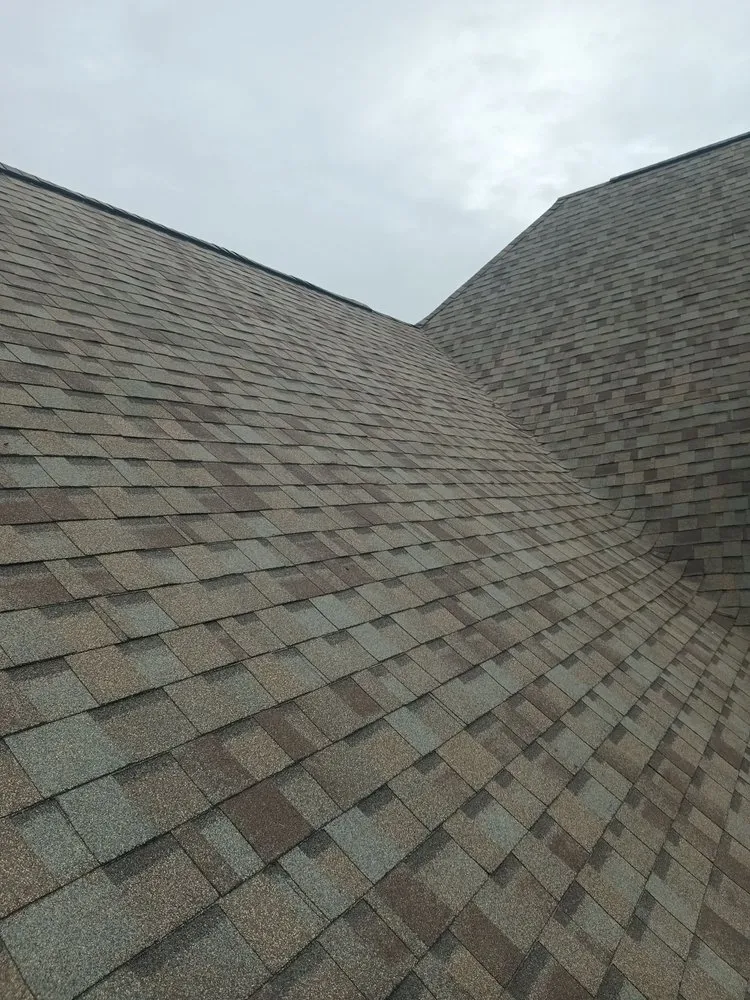 Slide of Eli Lopez Remodelation