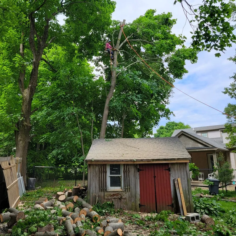 Slide of Elias Dubon Landscaping