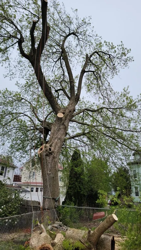 Slide of Elias Dubon Landscaping