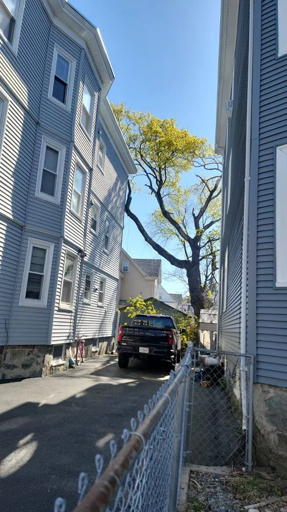 Slide of Elias Dubon Landscaping