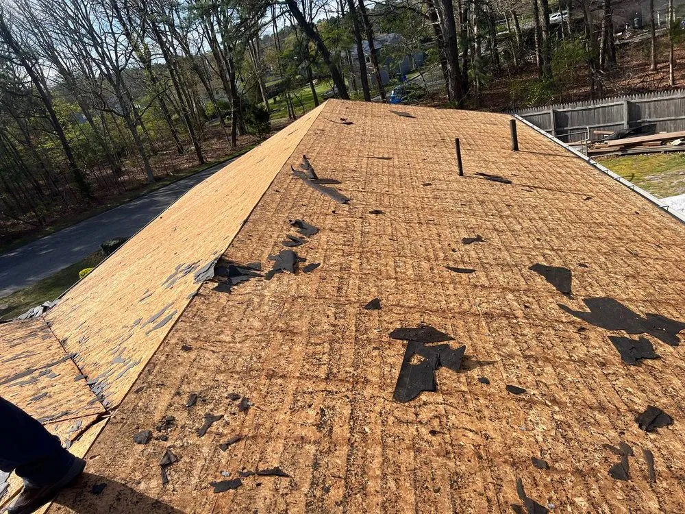 Local shingle roofing service same-day service in Ewing Township, NJ by Elio's Construction