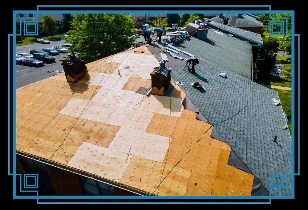 Slide of Eliseo Bocanegra Rodriguez