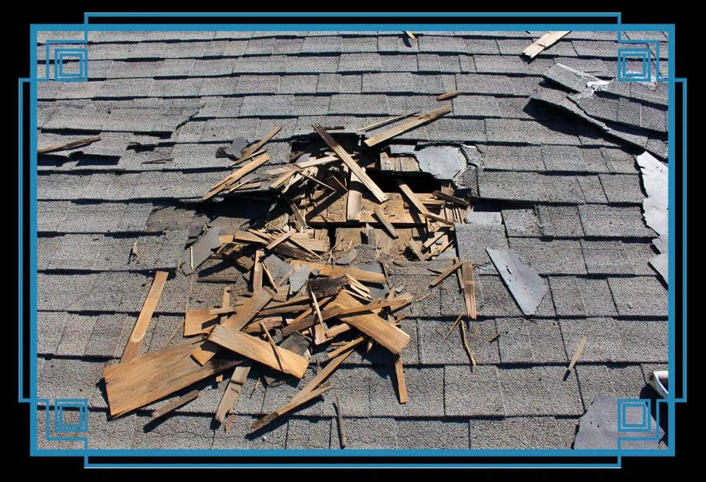 Slide of Eliseo Bocanegra Rodriguez